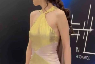 杨颖穿旧礼服爆火，网友吵翻天，高定到底该谁穿？