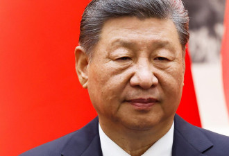 《观点》专栏作家解析习近平威权整顿的隐忧