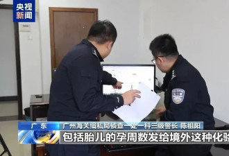超10万人份孕妇血样被走私出境，详情公布