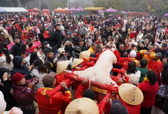 景区千人年猪宴场场爆满：40元19个菜 现宰黑猪