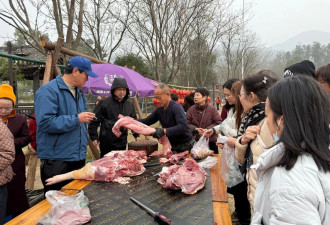 景区千人年猪宴场场爆满：40元19个菜 现宰黑猪