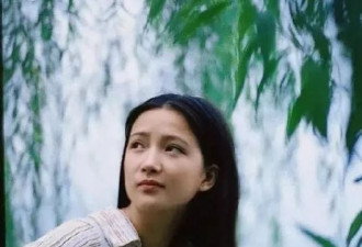 曝何晴拍《女医明妃传》时旧病复发，片酬仅60万