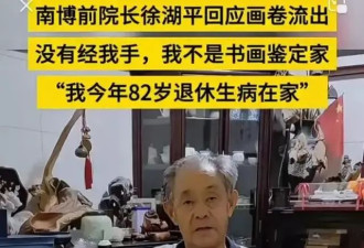 南博父子局：揭秘文物圈最隐秘“家族盗宝队”
