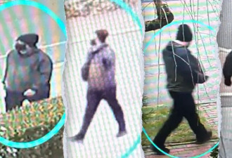 “物理天才”成杀手，他是母校最可怕的噩梦