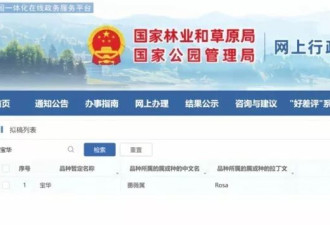 农科院征集新品种月季名，网友二舅名字被投上“榜一”