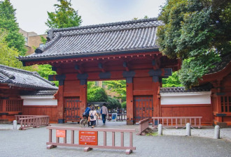 惊！日媒揭6成中国留学生真正盘算