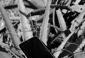 纽约时报：特朗普的“TikTok拯救计划”令人担忧