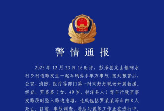 接送幼儿车辆坠入池塘致8死，遇难孩子父亲发声