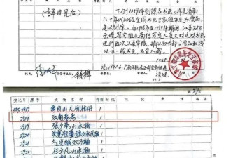 从6800元的买家到8800万的送拍人 南博干了什么？