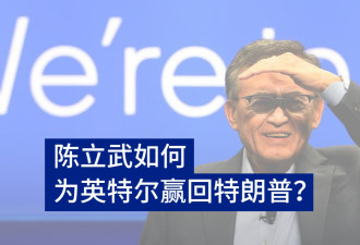 交易大师陈立武：如何为英特尔赢回特朗普？