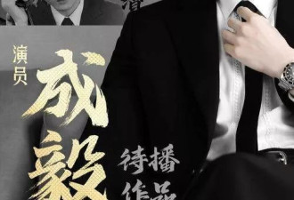 2025年高产演员大比拼：谁才是荧幕上的劳模担当