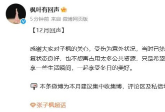 张子枫对接回应其受伤状况：当时已第一时间处理