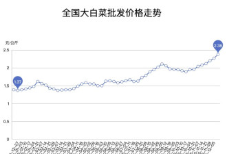 今年冬天菜比肉贵？白菜已不再是“白菜价”