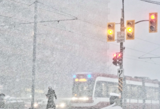 20cm大雪冰粒+10小时冻雨袭击安省! 环境部警告多伦多!