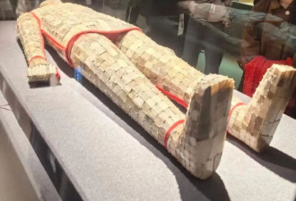 探访风暴眼中的南博：徐老院长被带走了