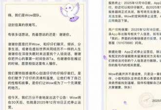 25个火过的国产AI应用，凉了