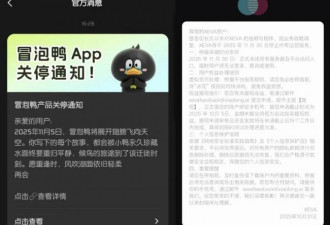 25个火过的国产AI应用，凉了