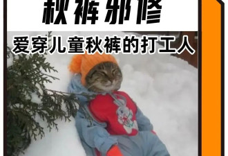 30元的儿童秋衣，中产抢着穿