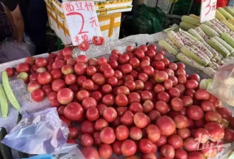 身价已暴涨了10倍，“鸡蛋都快配不上它了”