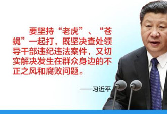 官员落马潮恐扩大?习近平定调2026反腐"更高标准"