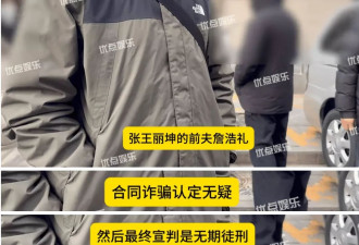 王丽坤前夫被判无期徒刑！涉案金额12亿