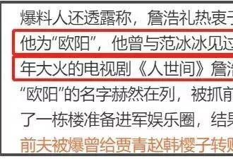 王丽坤前夫被判无期徒刑！涉案金额12亿