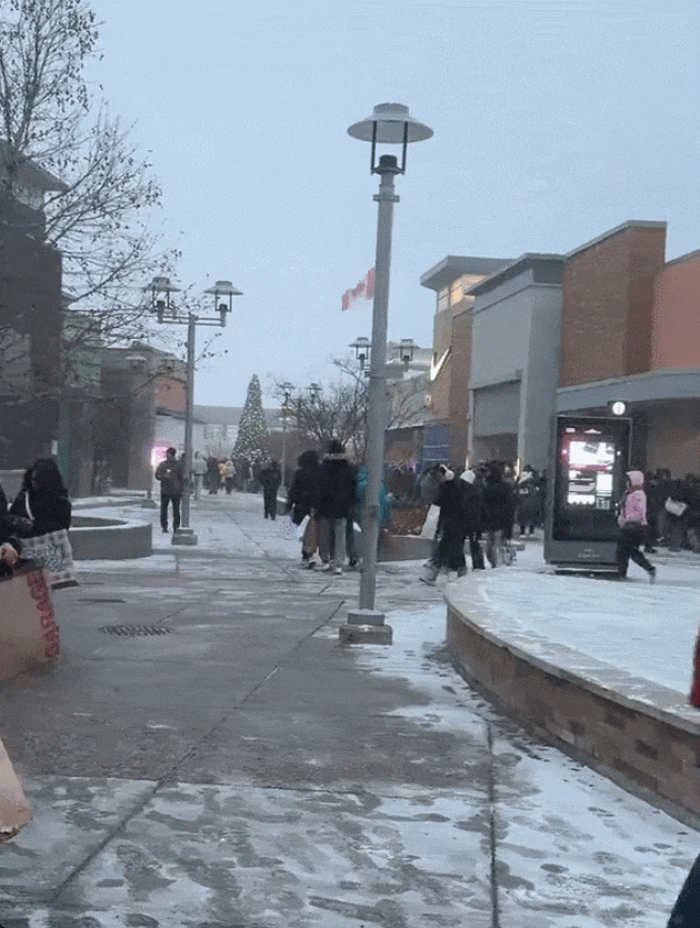 多伦多人天没亮顶着大雪排队抢购! Outlet、Vaughan Mills爆满