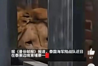 ​柬埔寨的打法越来越像哈马斯了