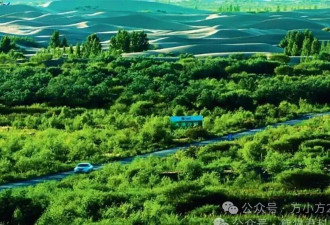 首个全面绿化的沙漠！60年沙漠变良田