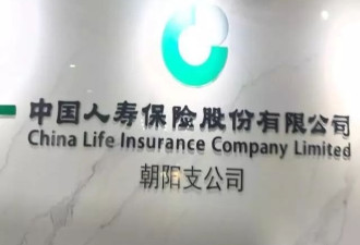 中国人寿招领导助理优先会打篮球的？招聘者回应
