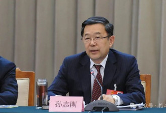 祸起贪婪妻子 贵州原省委书记孙志刚落马内情