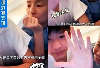 董洁自曝儿子年补课费超百万：星二代入行背后，是一笔巨额经济账