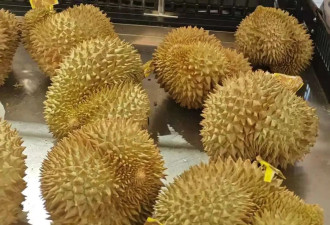 实探封关后的海南:消费者无法全岛“零关税”购物