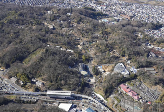 多摩动物公园一只狼逃出饲养区域
