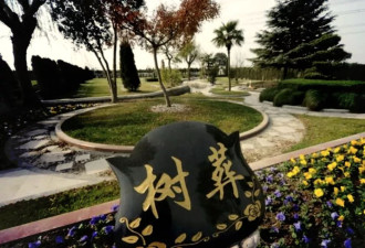 "独身女子逝世,买不买墓碑",是一道中国墓地伦理题