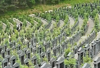 "独身女子逝世,买不买墓碑",是一道中国墓地伦理题
