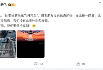 比亚迪将推出飞行汽车？李云飞回应：不实信息