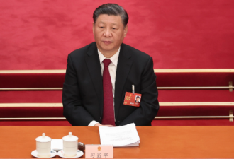 从“他们”的发言 看习近平地位的“弱化”