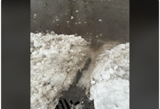 多伦多全城满地冰雪: 大批居民拿着铲子, 走上街道, 只为找它!