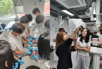 清北毕业生涌向国际学校，天崩开局