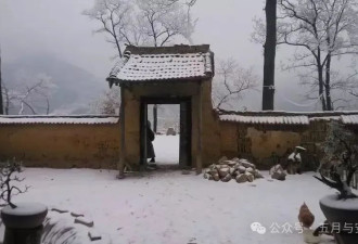 隐居终南山的他，活成了我们不敢活的模样