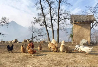 隐居终南山的他，活成了我们不敢活的模样