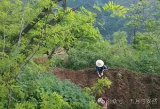 隐居终南山的他，活成了我们不敢活的模样
