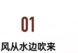 不营销却卖到断货 她写尽县城女人的爱与欲…