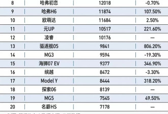 中国汽车出海征途：国内滞销车成海外香饽饽