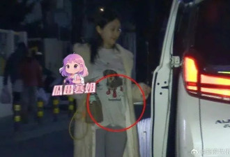 陈牧驰陈冰被排到餐厅约会！女方腹部隆起