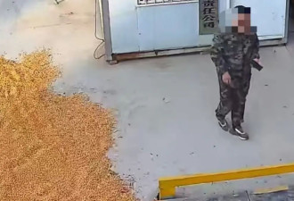 电诈洗钱手段升级:商家货款成“赃款” 账户变...