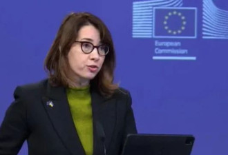 陆媒：解放军封岛军演，欧盟跳出来了...