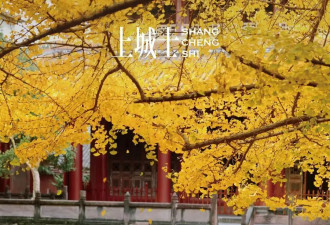 2026年，时髦地穿红色吧！