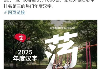 2025：在时光的马蹄中，我们都是荡子